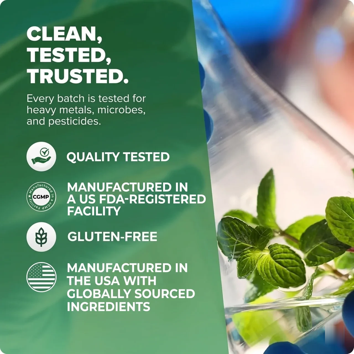 Lumivé Pure Moringa Powder – clean, tested, trusted